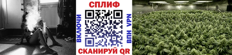 как найти закладки  Малмыж  Конопля конопля 